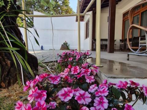 Canteiro de flores rosa na entrada da casa